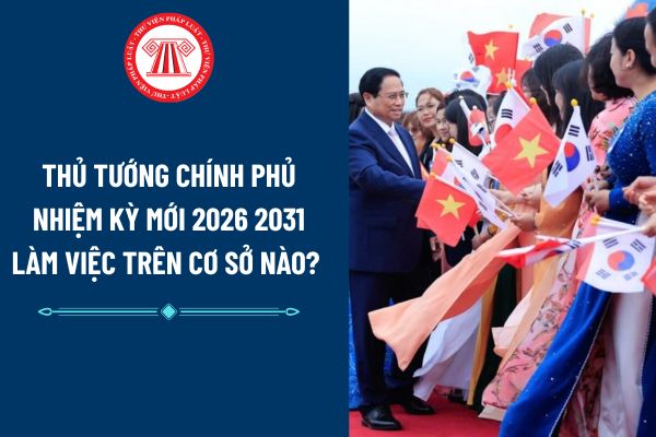 Pháp luật