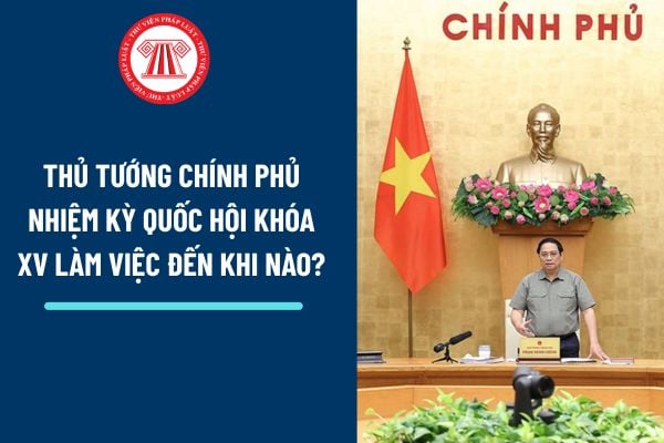 Pháp luật