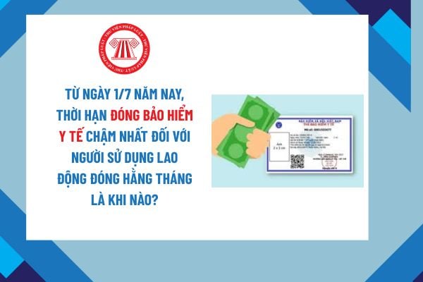 Pháp luật