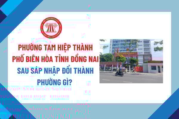 Pháp luật