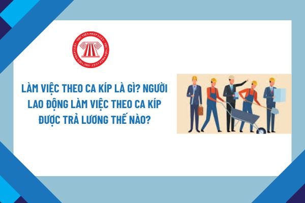 Pháp luật