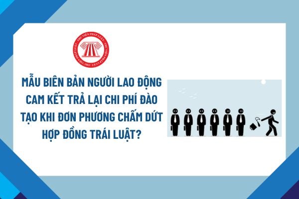 Lao Động Tiền Lương