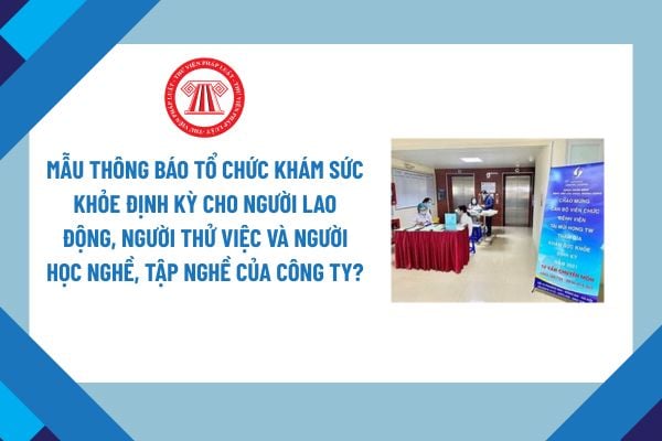 Lao Động Tiền Lương
