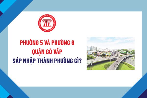 Phường 5 và Phường 6 quận Gò Vấp sáp nhập thành phường gì? Phường mới hình thành sau sáp nhập hoạt động từ ngày mấy?