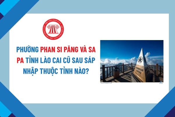Pháp luật