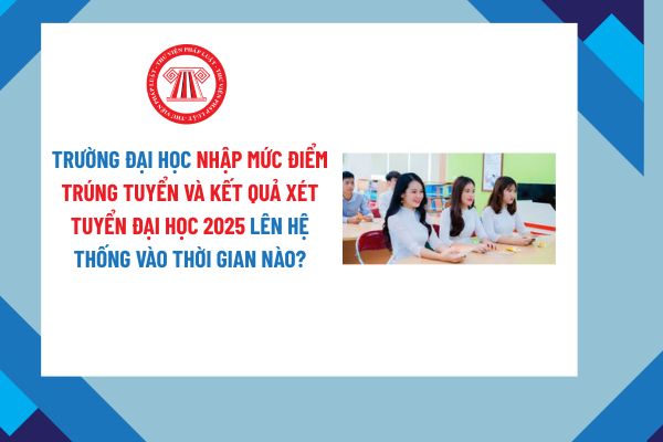 Pháp luật