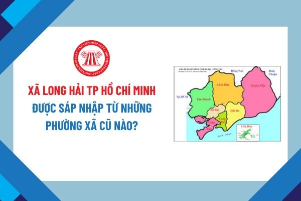 Pháp luật