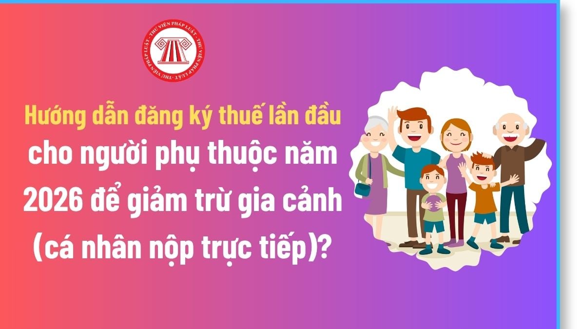 Pháp luật