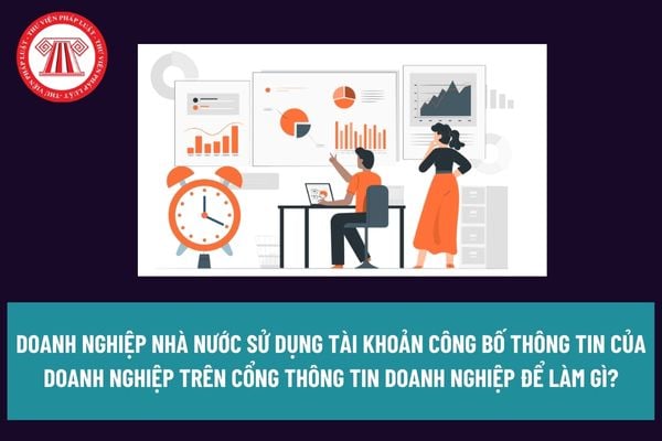 Doanh nghiệp nhà nước sử dụng tài khoản công bố thông tin của doanh nghiệp trên Cổng thông tin doanh nghiệp để làm gì? 