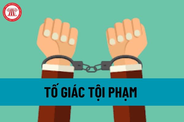 Mẫu đề nghị áp dụng biện pháp bảo vệ đối vối người tố giác tội phạm? Người tố giác tội phạm được áp dụng biện pháp bảo vệ khi nào?