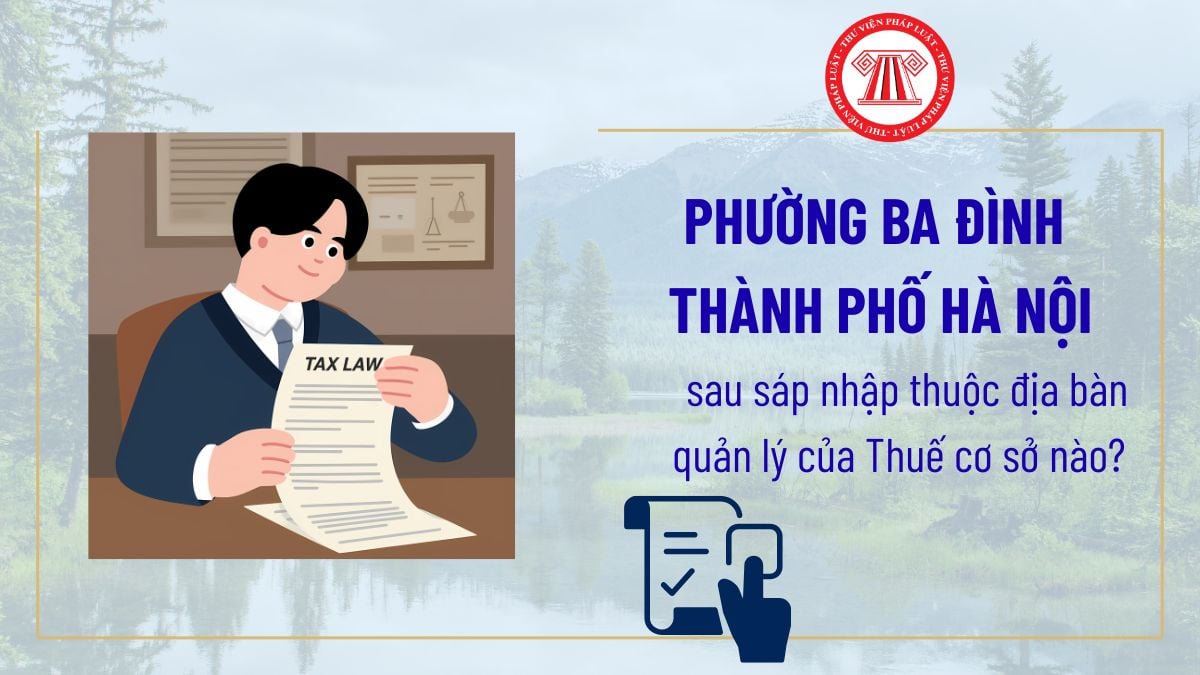Pháp luật