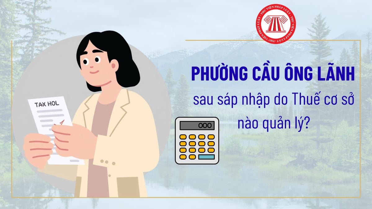 Pháp luật