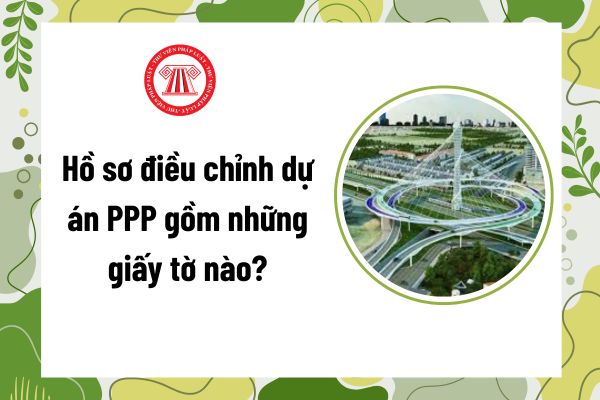 Pháp luật