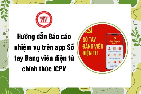 Pháp luật