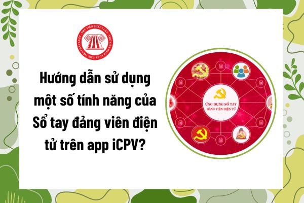 Pháp luật