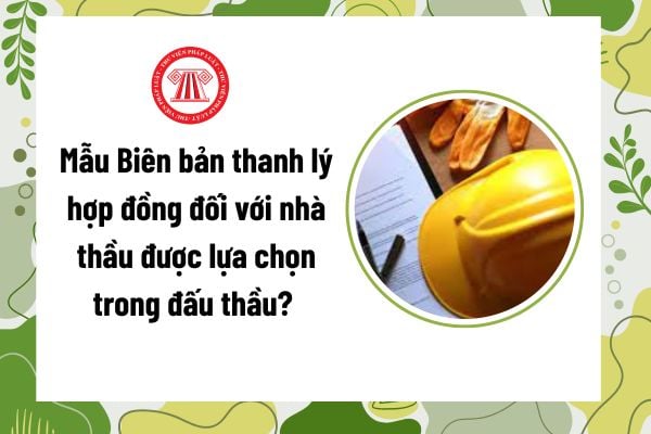Pháp luật