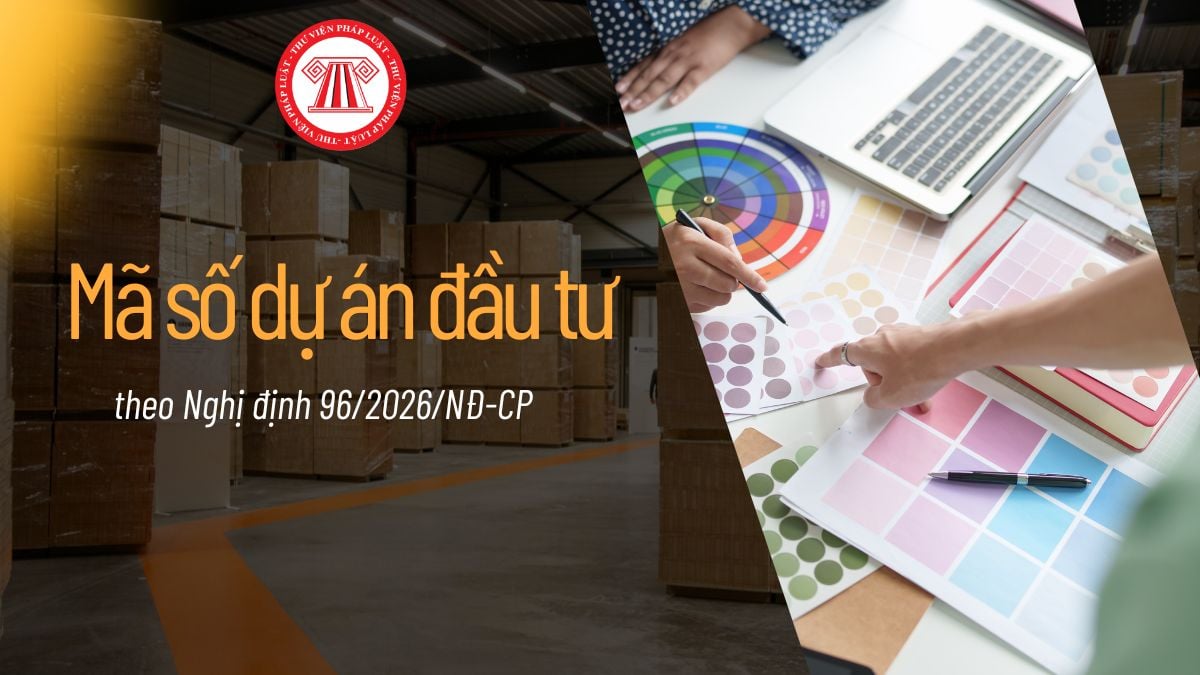 Pháp luật