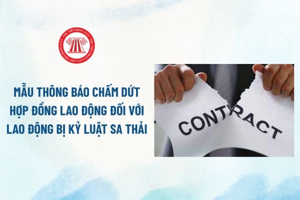 Lao Động Tiền Lương
