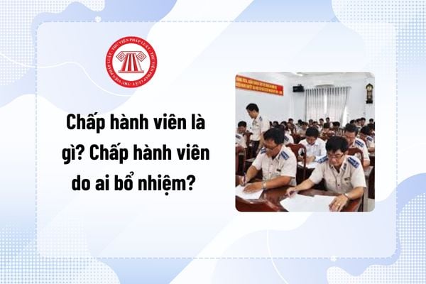 Pháp luật