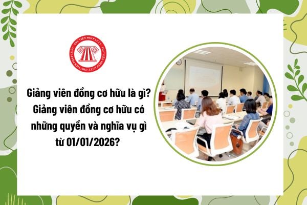 Pháp luật
