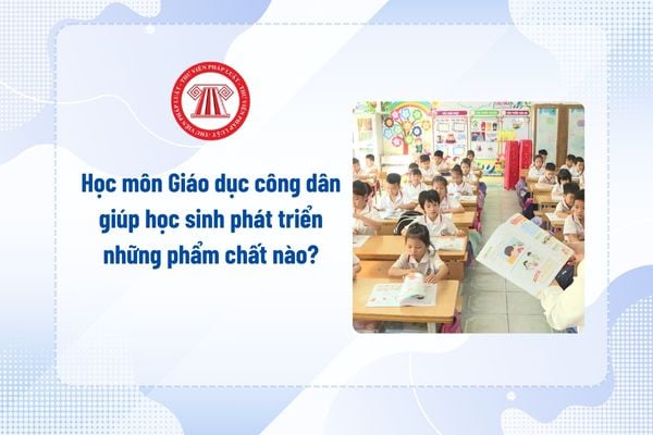 Pháp luật