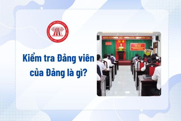 Pháp luật