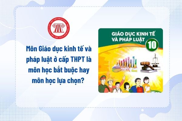 Pháp luật
