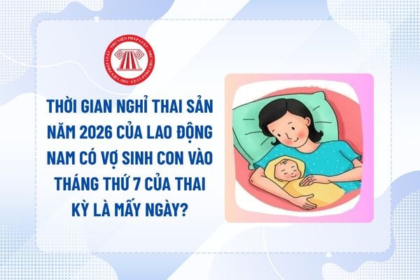 Lao Động Tiền Lương