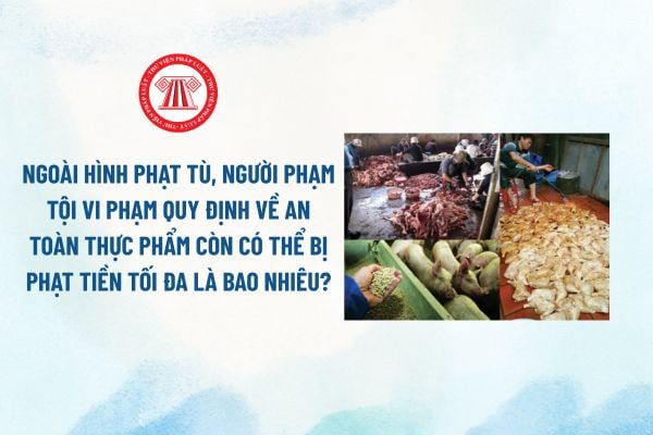 Pháp luật