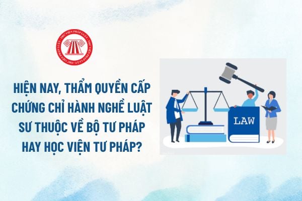 Pháp luật