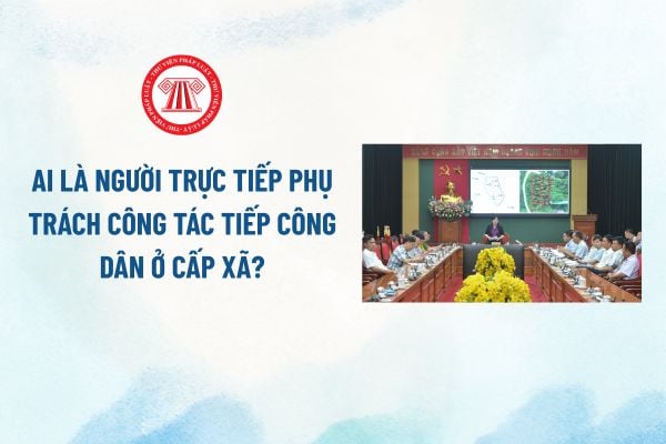 Pháp luật