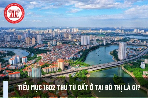 Pháp luật