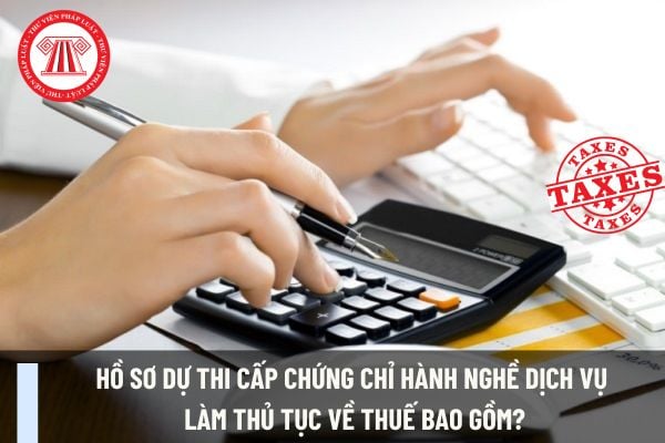 Pháp luật