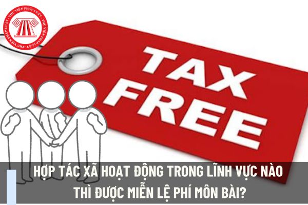 Hợp tác xã hoạt động trong lĩnh vực nào thì được miễn lệ phí môn bài?
