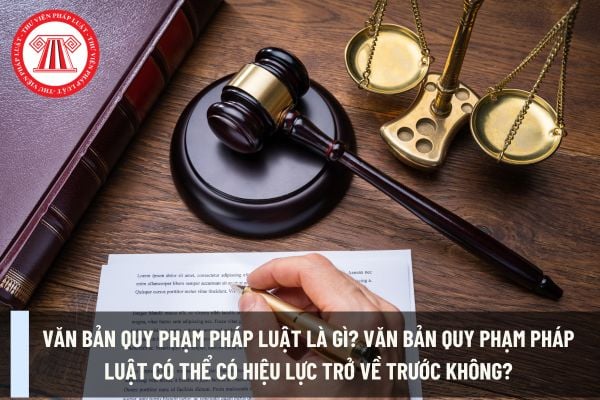 Pháp luật