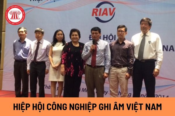 Tài chính của Hiệp hội Công nghiệp ghi âm Việt Nam đến từ những nguồn thu nào và Hiệp hội sử dụng nguồn tài chính cho những hoạt động gì?