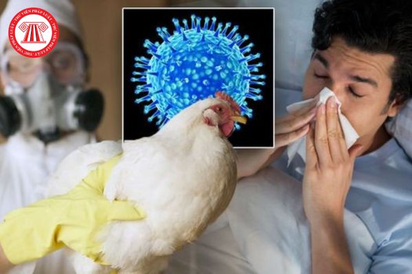 Người che giấu, không khai báo về tình trạng bệnh cúm A H5N1 của bản thân có bị phạt hành chính hay không?