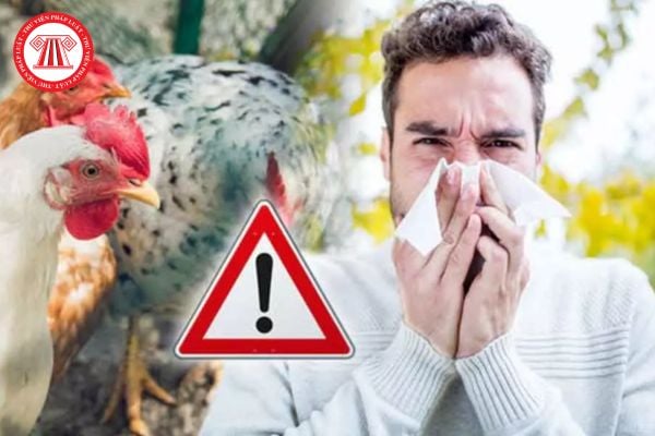 Người cố ý lây lan tác nhân gây bệnh cúm A H5N1 có thể bị phạt hành chính bao nhiêu tiền? Chủ tịch Ủy ban nhân dân xã có quyền phạt tiền đối với người đó không?