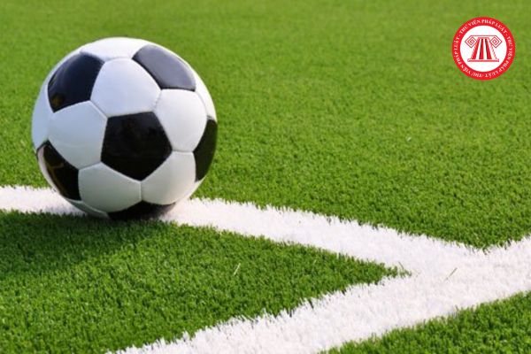 Thủ tục cấp Giấy chứng nhận đủ điều kiện kinh doanh hoạt động thể thao đối với môn Bóng đá
