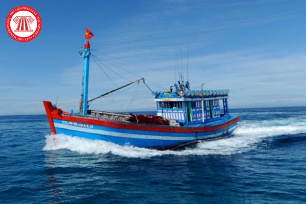 Cấp Giấy phép tạm thời cho tàu biển mang cờ quốc tịch Việt Nam