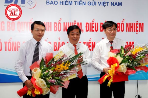 Tổng giám đốc Bảo hiểm tiền gửi Việt Nam có những nhiệm vụ và quyền hạn gì?