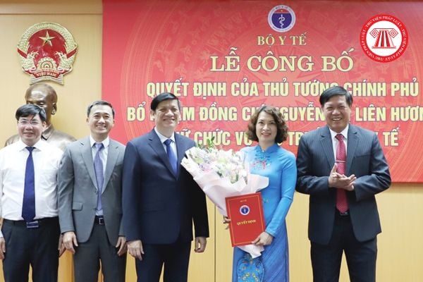 Trưởng Ban chỉ huy phòng chống thiên tai và tìm kiếm cứu nạn của Bộ Y tế là ai? Thực hiện những nhiệm vụ cụ thể nào?