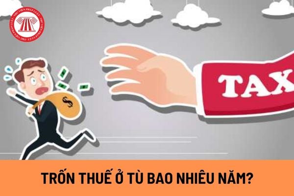 Phạm tội trốn thuế ở tù bao nhiêu năm? Chủ động nộp lại số tiền trốn thuế có được giảm án hay không?