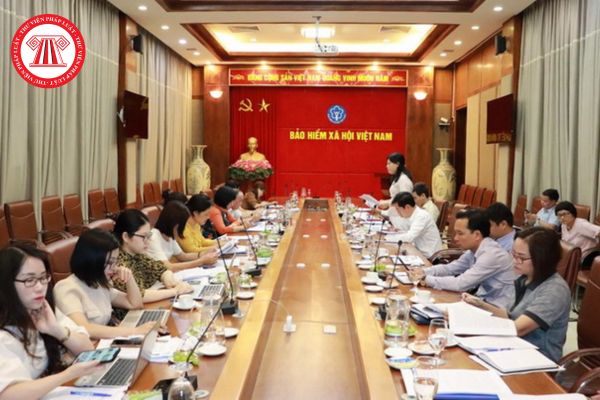 Ban Kiểm tra thuộc Bảo hiểm xã hội Việt Nam