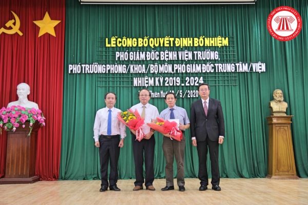 Phó Viện trưởng Viện Kiểm nghiệm thuốc Trung ương phải đáp ứng những tiêu chuẩn gì về trình độ đào tạo?