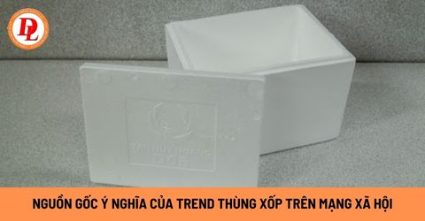 Trend-thung-xop