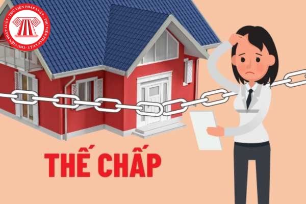 Tập đoàn công nghiệp than khoáng sản Việt Nam có thể đem tài sản đi thế chấp hay không? Tập đoàn có những loại tài sản nào?