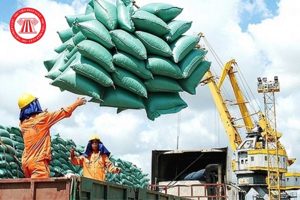 Xuất khẩu gạo có phải ngành nghề kinh doanh có điều kiện? Công ty xuất khẩu gạo phải đáp ứng những điều kiện gì để được kinh doanh?