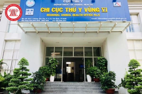 Cục Thú y có nhiệm vụ và quyền hạn gì trong công tác phòng, chống dịch bệnh động vật trên cạn?