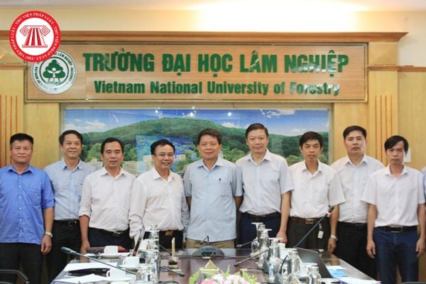 Cục Kinh tế hợp tác và Phát triển nông thôn có trụ sở ở đâu? Cục Kinh tế hợp tác và Phát triển nông thôn có tư cách pháp nhân hay không?